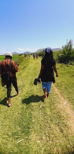 Team members walking on a contructed dyke